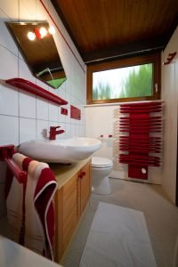 Schwarzwald-Häusle (10)