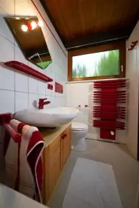 Schwarzwald-Häusle (10)