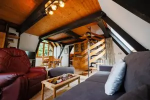 Schwarzwald-Häusle (20)