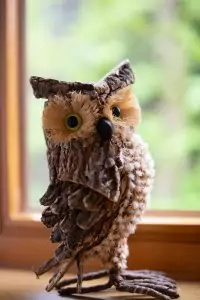 Schwarzwald-Häusle (24)