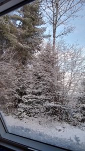 Schwarzwald-Häusle (40)