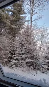 Schwarzwald-Häusle (40)