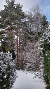 Schwarzwald-Häusle (41)