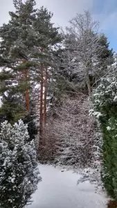 Schwarzwald-Häusle (41)