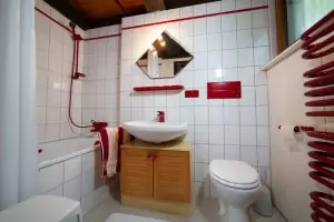 Schwarzwald-Häusle (9)