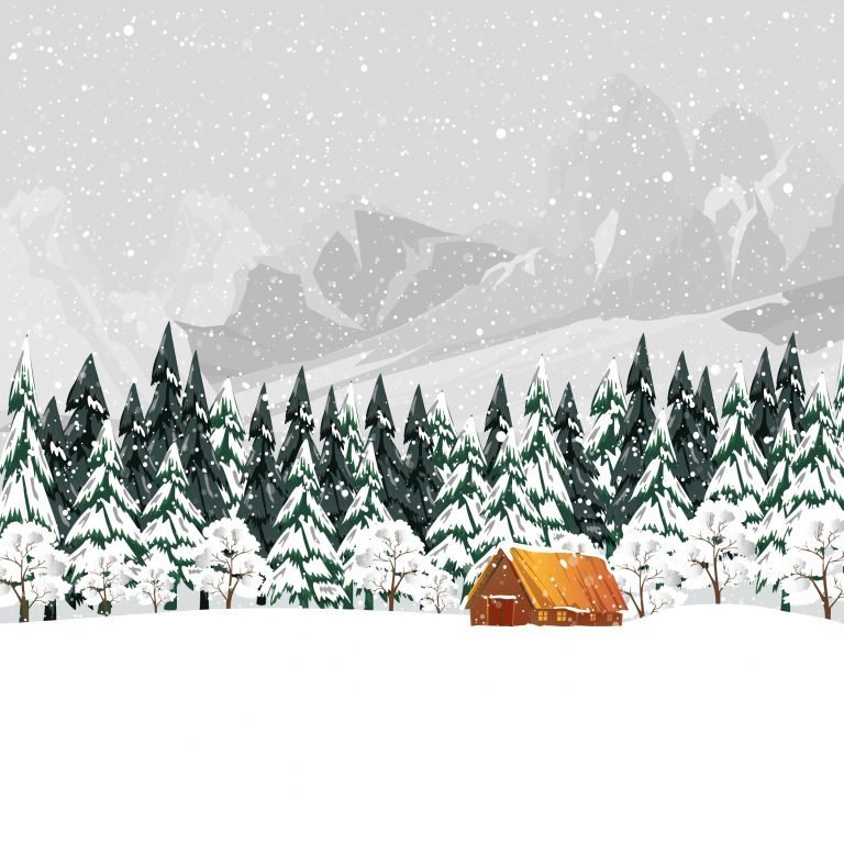 Read more about the article The magic of winter in the Black Forest: an unforgettable experience at the Schwarzwald-Häusle